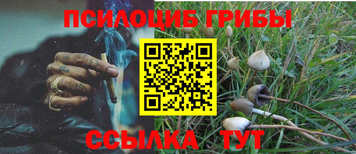 Галлюциногенные грибы Magic Shrooms Воронеж